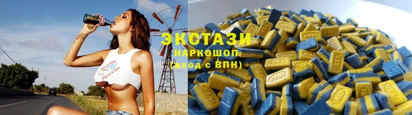 стаф Алзамай