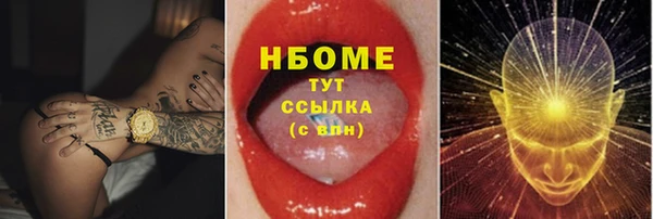стаф Алзамай