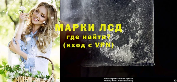 стаф Алзамай